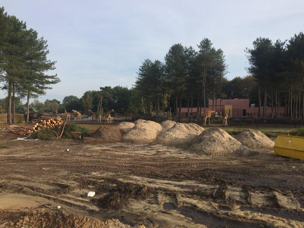 Project Beekse Bergen Project Beekse Bergen